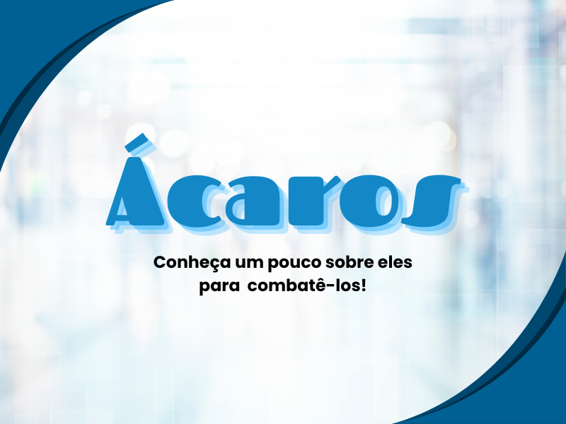 Ácaros